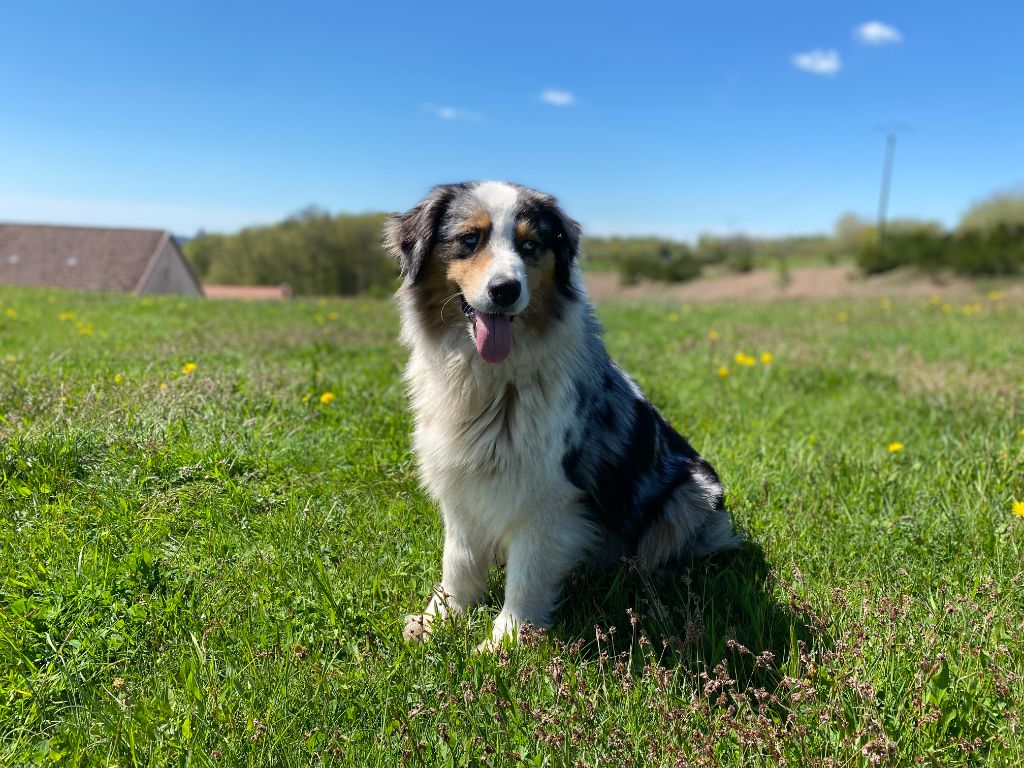 Lexie Du Domaine Du Clos De La Place