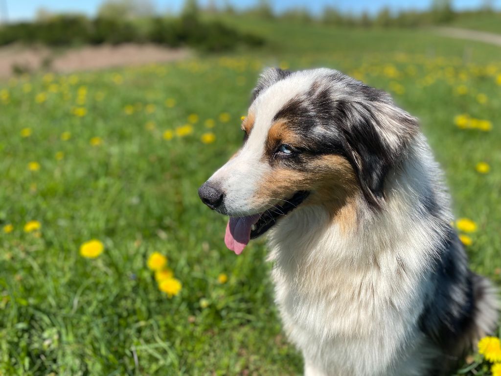 Lexie Du Domaine Du Clos De La Place