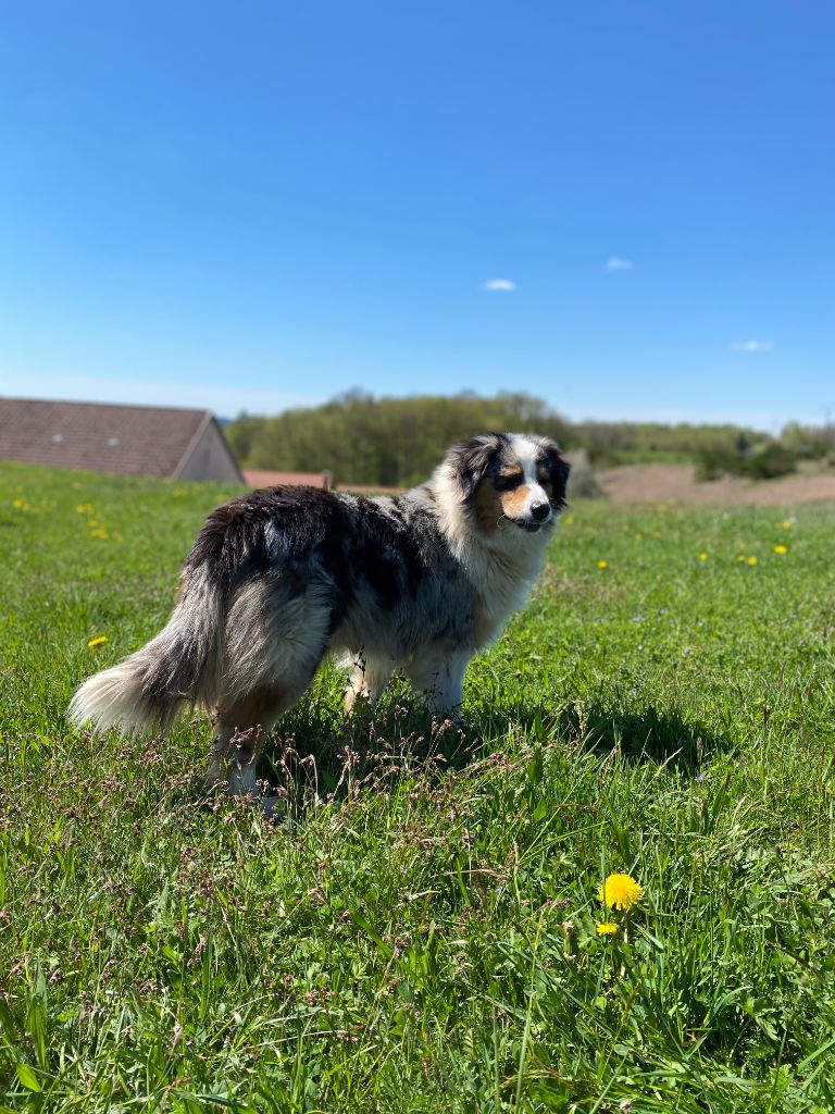 Lexie Du Domaine Du Clos De La Place